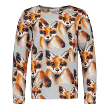 FOX CLOUDY - PAITA