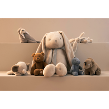 BERTO TRICERA DINO TEDDY - DUNE